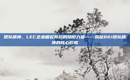 团队精神，LEC企业崛起背后的隐形力量——揭秘861团队精神的核心价值