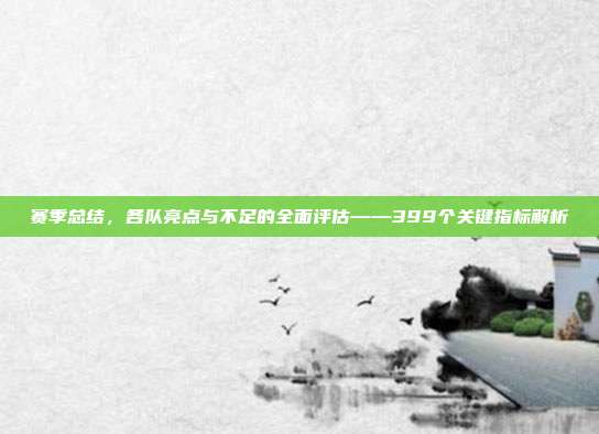 赛季总结，各队亮点与不足的全面评估——399个关键指标解析