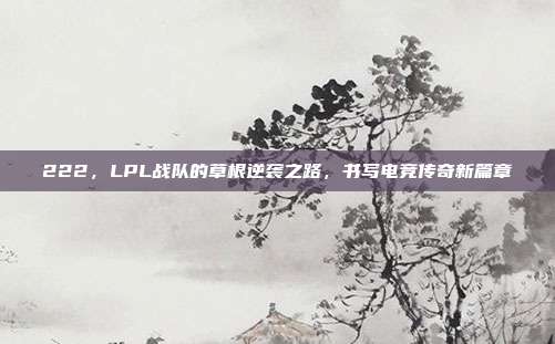 222，LPL战队的草根逆袭之路，书写电竞传奇新篇章