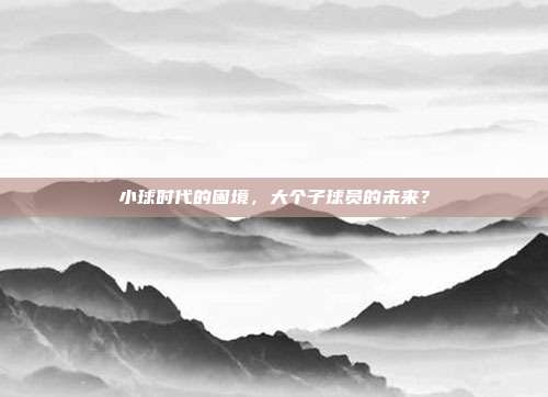 小球时代的困境，大个子球员的未来？